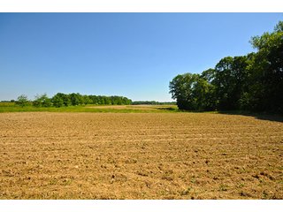 Property photo 68 - LAND AUCTION - 604+/- ACRES OFFERED IN 24 TRACTS IN MORGAN COUNTY, INDIANA